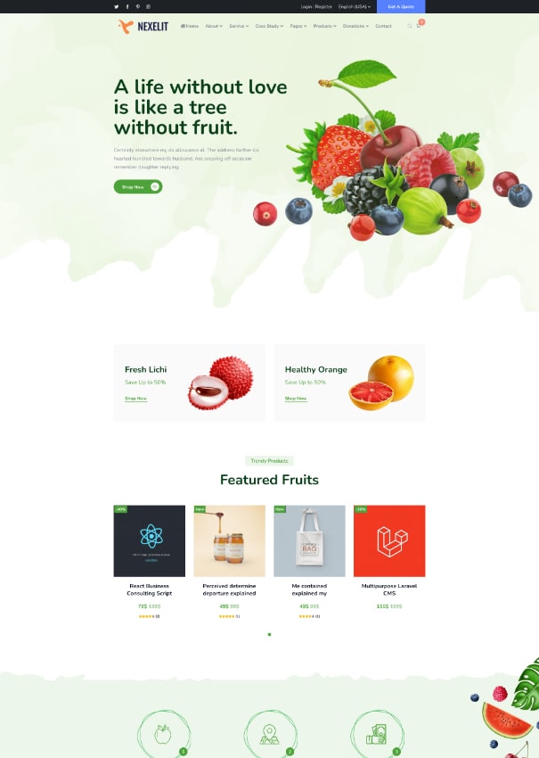 Nexelit Home 15 homepage demo
