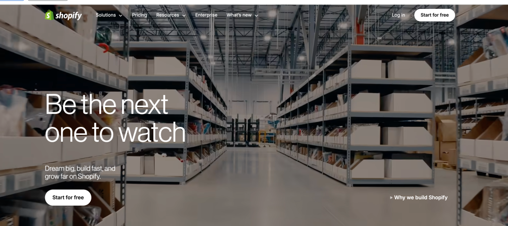 shopify website